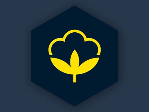 bci_480x360